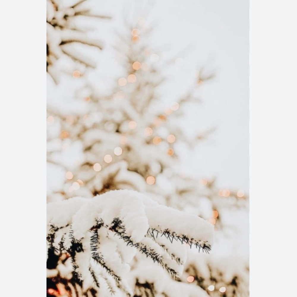 ☽✦⟡ bundle + save ☽✦⟡ - Picture 3 of 4